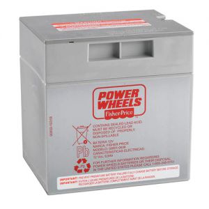 p-79384-power_wheels_12-volt_rechargeable_battery-300x300.jpg
