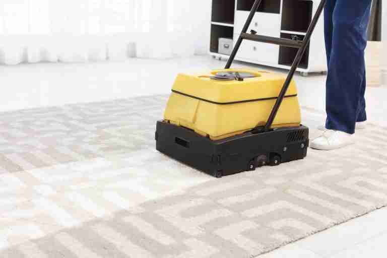 Carpet Cleaner