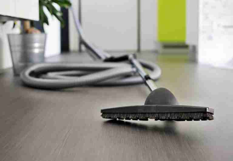 Central Vacuum or Portable Vaccuum