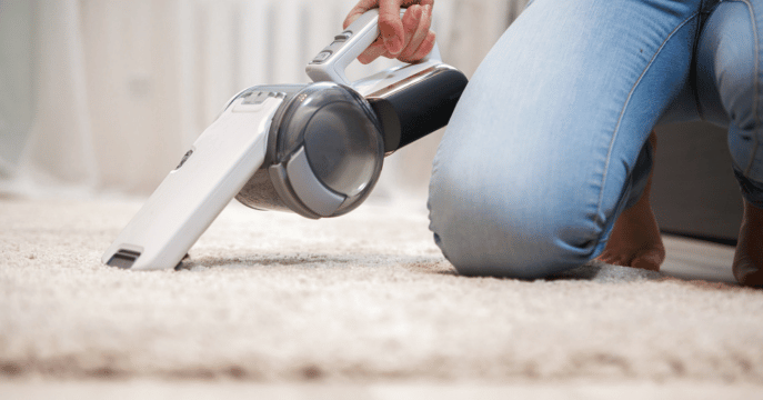 Discover the Power of Portable Vacuum Cleaners