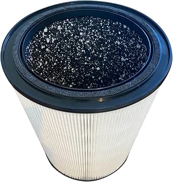 Electrolux Aerus OEM Guardian Angel Air Purifier Filter AN1033008